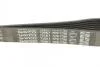 Ремень поликлиновый DAYCO 7PK1790 (фото 4)
