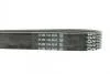Ремень поликлиновый DAYCO 7PK2711 (фото 3)