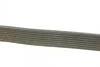 Ремень поликлиновой DAYCO 8PK1420HD (фото 2)