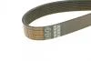 Ремень поликлиновой DAYCO 8PK1420HD (фото 3)