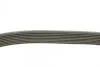 Ремень поликлиновой DAYCO 8PK1460HD (фото 2)