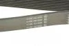 Ремень поликлиновой DAYCO 8PK1460HD (фото 3)