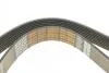 Ремень поликлиновой DAYCO 8PK1460HD (фото 4)