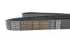 Ремень поликлиновой DAYCO 8PK2085HD (фото 4)