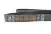 Ремень поликлиновой DAYCO 8PK2085HD (фото 4)