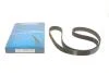 Ремень зубчатый ГРМ Lexus RX II (U38) 300 2003 - 2008 13568-YZZ10  (пр-во DAYCO) 94539