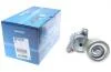 Натяжитель Dayco APV2767