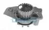 DAYCO PEUGEOT Помпа воды Citroen BX 1.9D 87-,C15 1.8D,309,405,Rover DP011