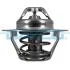 Термостат Citroen Berlingo/Jumper / Fiat Ducato / Peugeot Boxer/Partner 1.8/2.0 i 94-> DT1047V