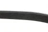 Комплект ременя DAYCO KPV474 (фото 5)
