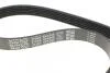 Комплект ременя DAYCO KPV474 (фото 6)