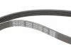 Комплект ременя DAYCO KPV634 (фото 3)