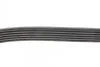 Комплект ремня DAYCO KPV830 (фото 8)