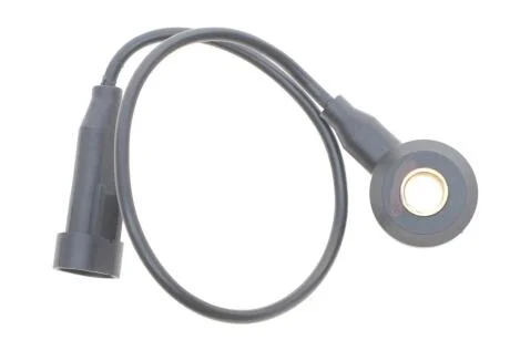 Датчик детонации Delphi AS10134-12B1