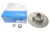 Tarcza ham. RENAULT RENAULT LAGUNA Coupe (DT0/1) BG9135RS