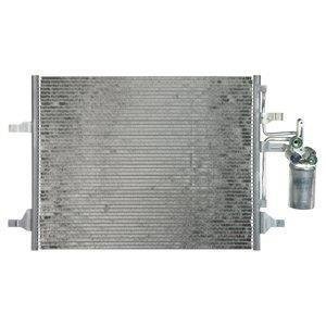 SKRAPLACZ VOLVO Delphi CF20224