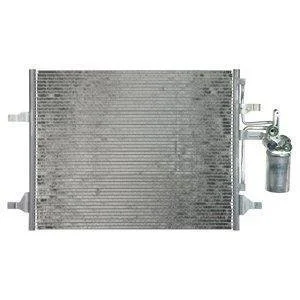 SKRAPLACZ VOLVO Delphi CF20224