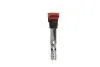 Катушка зажигания AUDI A4/A6/A8 &quot;2,0/3,0L &quot;00&gt;&gt; Delphi GN10444-12B1 (фото 1)