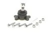 Кульова опора нижня Ssang Yong Kyron/Rexton 2.0D-3.2 04.02- TC3389