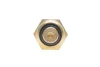 DAEWOO Датчик температуры воды Lanos,Leganza,Nubira Delphi TS10469 (фото 4)
