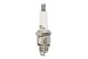 Свеча зажигания NICKEL DENSO W24FPRU10 (фото 1)