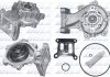 Водяний насос Transit 2.0Di/TDCi 00-06 DOLZ F-149 (фото 1)