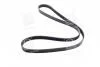 Ремінь генер TUCS 2.0TD/STF NEW 2.2TD/STF 2.0 TD 25212-27400/25212-27010/27002 Dongil 6PK1513 (фото 3)