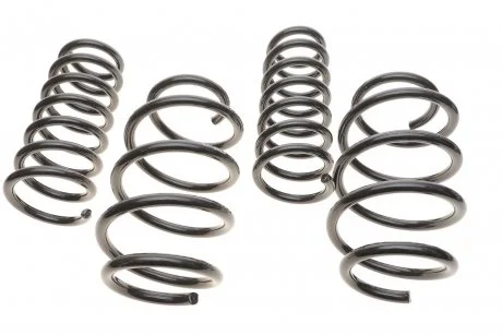 Фото комплект пружин підвіски EIBACH E10-20-040-02-22 Комплект пружин підвіски EIBACH E10-20-040-02-22