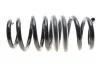 Фото 9 - комплект пружин підвіски EIBACH E10-20-040-03-22 Комплект пружин підвіски EIBACH E10-20-040-03-22 (фото 9)