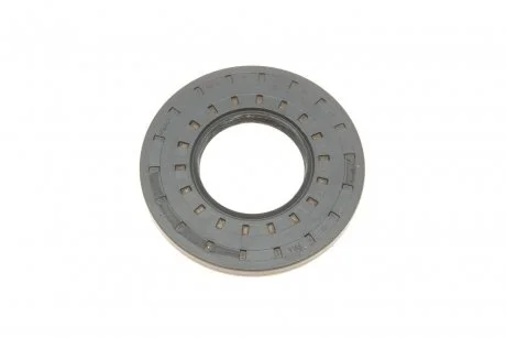 Фото 1 - сальник піввісі ELRING 569.130 Сальник піввісі ELRING 569.130 (фото 1)