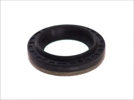 Уплотняющее кольцо, дифференциал Уплотняющее кольцо ELRING 586.994 (фото 1)