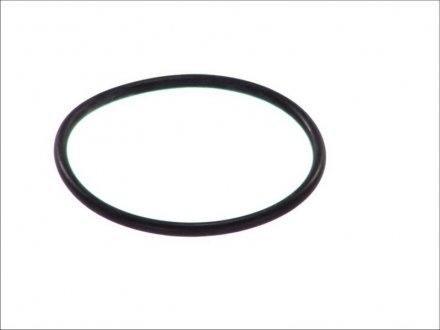 Уплотнительное кольцо ELRING 703.087 (фото 1)