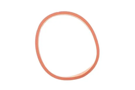 Фото 1 - прокладка корпус дросельної заслінки FORD 1,5 EcoBoost 14- ELRING 752.910 Прокладка корпус дросельної заслінки FORD 1,5 EcoBoost 14- ELRING 752.910 (фото 1)