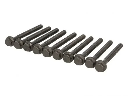 Болт головки блока (компл.) FIAT/LANCIA C1/141C2/146A2/146A4/156A2/56A3/156A4... ELRING 760.720