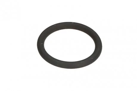 ORING VAG ELRING 793.200 (фото 1)
