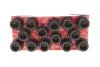 Болт головки блоку (компл.) VW 2.4D/TD DW/1S (6CYL) (пр-во Elring) 819.891