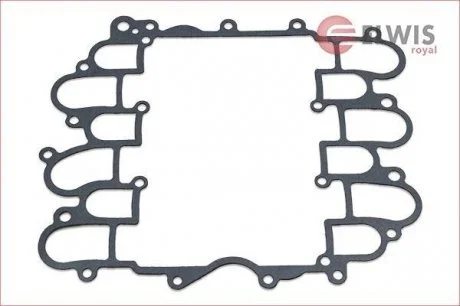 Прокладка, корпус впускного коллектора Elwis Royal 0256005 (фото 1)