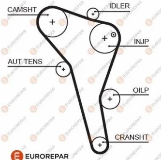 Ремень грм Eurorepar 1633129180