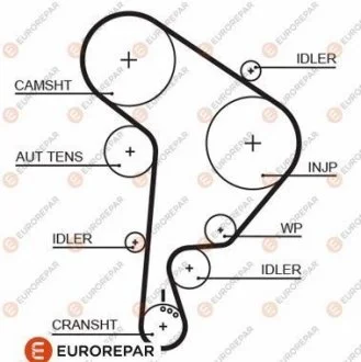 Ремень грм Eurorepar 1633129480