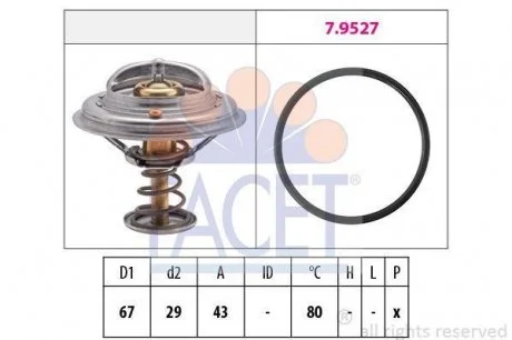 Термостат, охолоджуюча рідина FACET 7.8549