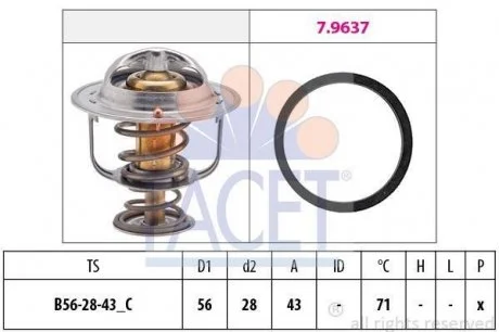 Термостат, охолоджуюча рідина FACET 7.8650