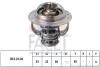 Термостат A4/A5/Q5 1.8/2.0T (08-12) VW B-6/Tiguan/Golf 6 1.8/2.0TFSi OCTAVIA 7.8742S