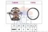 Термостат Ford Focus 1.4/1.6i 98-04/ Puma 1.6 00-02 74° 7.8840
