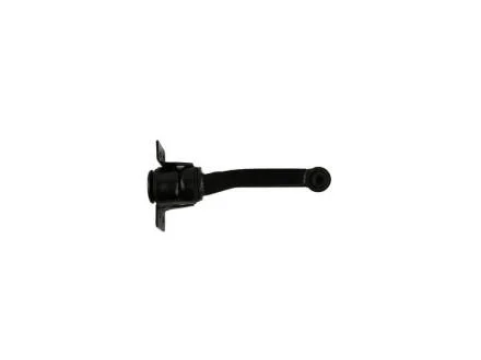 Опора двигуна Ford Transit 2.0 D 00- FAST FT52554 (фото 1)