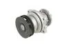 Насос водяной BMW (E36, E46, E39) M50B25, M52B25 (90-00) (пр-во Febi) 01293