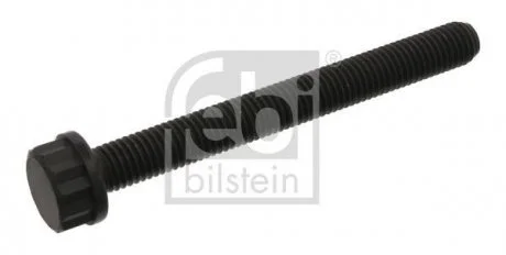 Фото болт головки FEBI BILSTEIN 09798 Болт головки FEBI BILSTEIN 09798