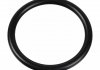 Sealing Ring 174322