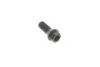 Болти кріплення колеса BMW X5/Mini Cooper FEBI BILSTEIN 26744 (фото 2)