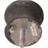 Фото 2 - febi bmw подвеска кпп e90 325 FEBI BILSTEIN 36908 FEBI BMW Подвеска КПП E90 325 FEBI BILSTEIN 36908 (фото 2)