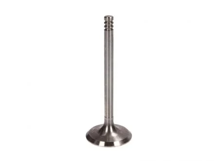 Клапан 1.9D/TD, IN (7mm) FRECCIA 6036/S